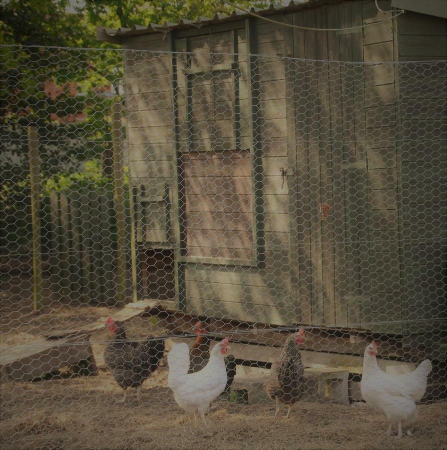 Forest Farm Papplewick Nottingham - Spacious Self-Contained Rural Retreat! エクステリア 写真